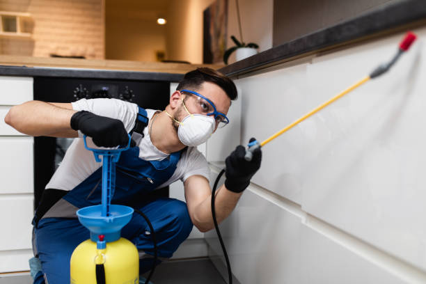 Best Pest Inspection Near Me  in St Paul, MO