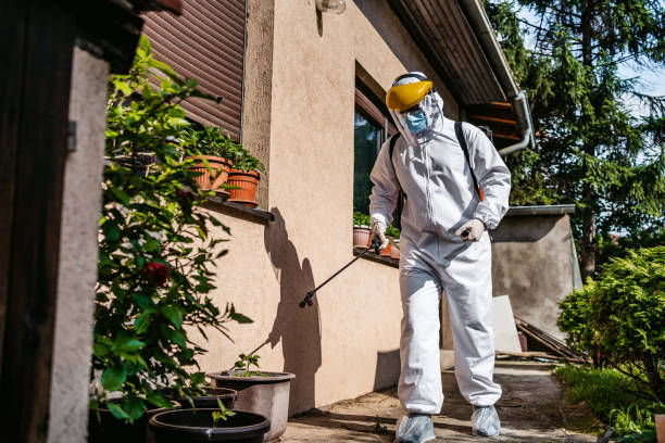 Best Pest Control Treatment  in St Paul, MO