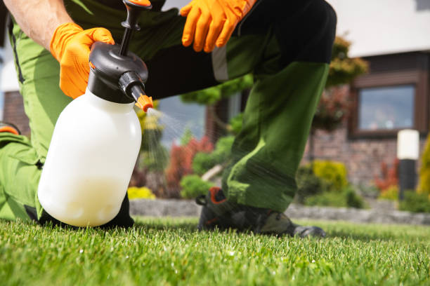 Best Pest Prevention Services  in St Paul, MO