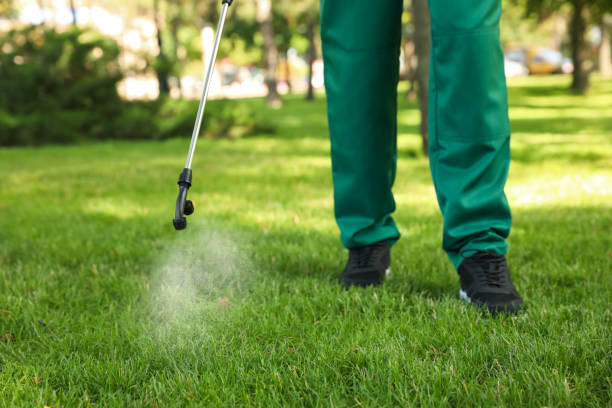 Pest Prevention Services in St Paul, MO