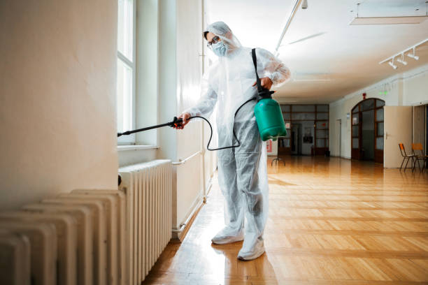 Best Residential Pest Control  in St Paul, MO
